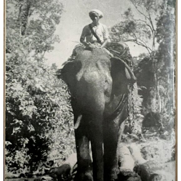 Elephant Bill Lt Col Williams 1950 First Edition Burma Biography HC Photos BKBX5 - Picture 6 of 10